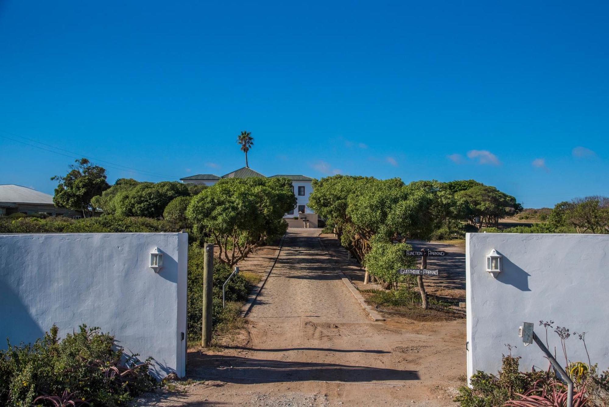 Grootvlei Guest Farm Bed & Breakfast Lambert's Bay Exterior photo